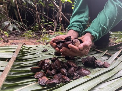 Our Forest Our Home Strengthens Indigenous Initiatives