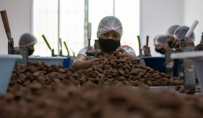 Research Shows Brazilians Value  Sustainable Nut Production