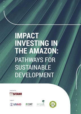 Challenges and opportunities for Amazon impact investment