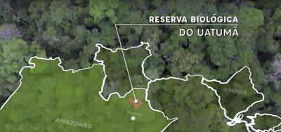 Vídeo: Monitoramento da biodiversidade na Reserva Biológica do Uatumã
