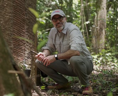 Mark Carrato, diretor da USAID/Brasil, está agachado ao lado de uma seringueira fazendo extração de látex